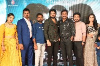 RudraVeena Movie Pre Release Event